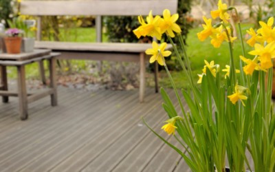 Spring Home Safety Tips