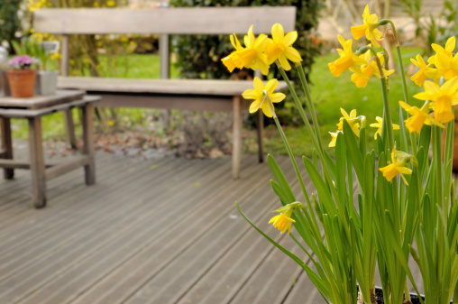 Spring Home Safety Tips